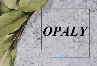 Opaly - листовой искусственный камень